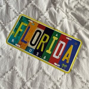 Colorful Florida License Plate